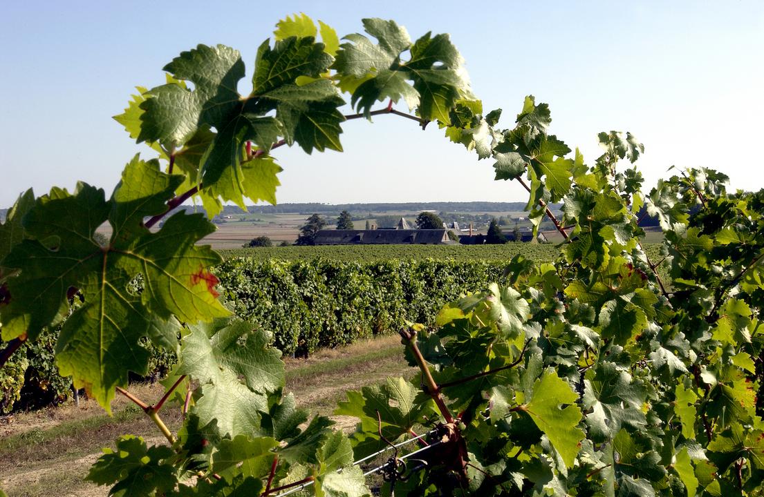 Domaine du Bois Mozé